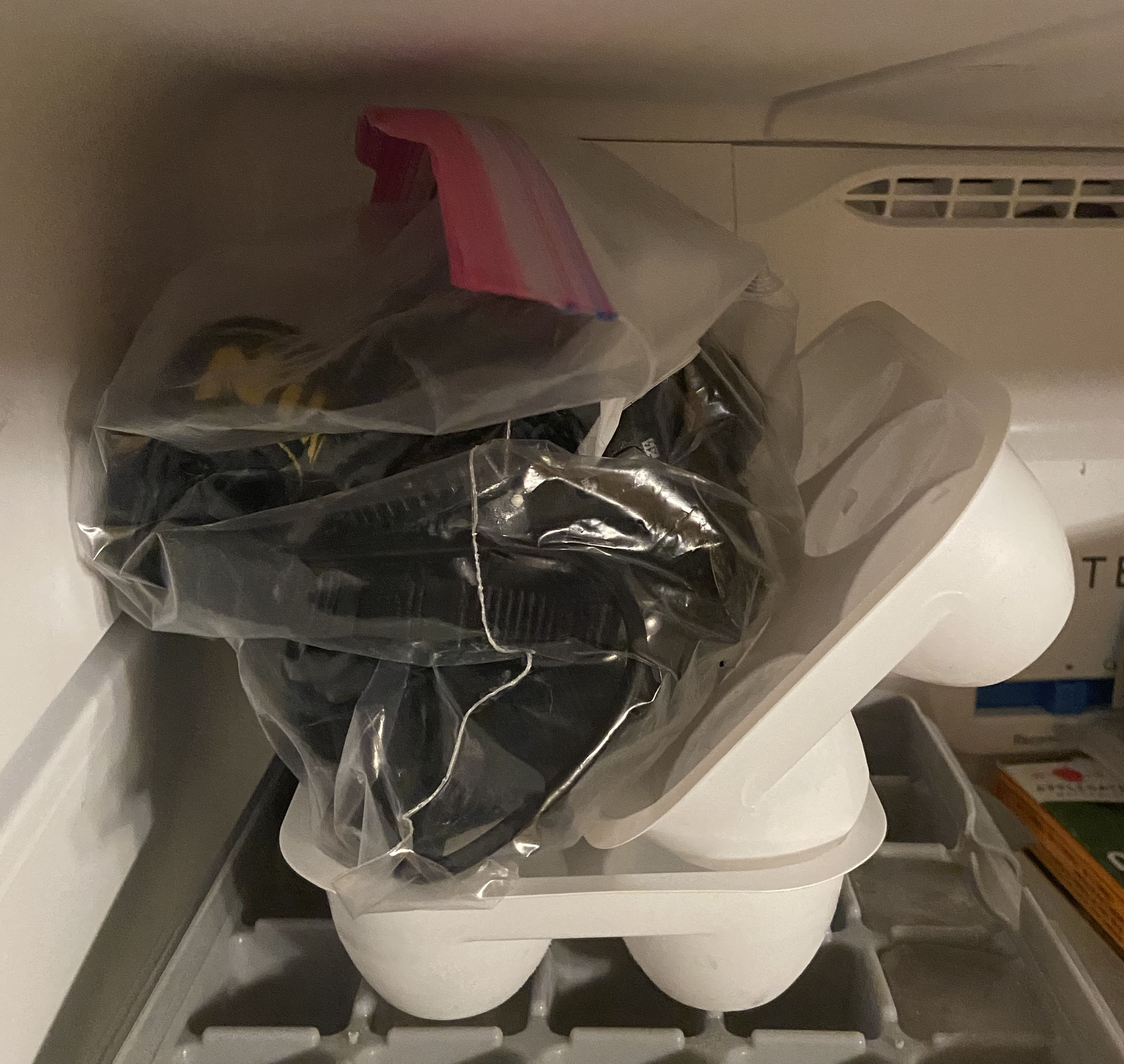 camera, in ziploc bag, in freezer